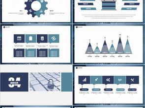 網(wǎng)絡(luò)與信息安全軟件開發(fā) 從技術(shù)實(shí)踐到商務(wù)呈現(xiàn)